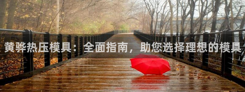EMC倍频是什么意思：黄骅热压模具：全面指南，助您选择理