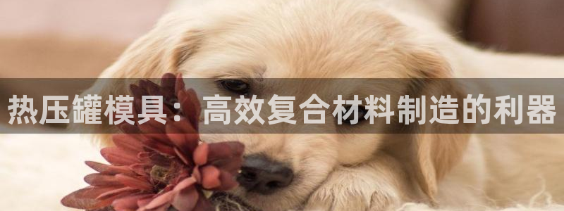 易倍单词app官网