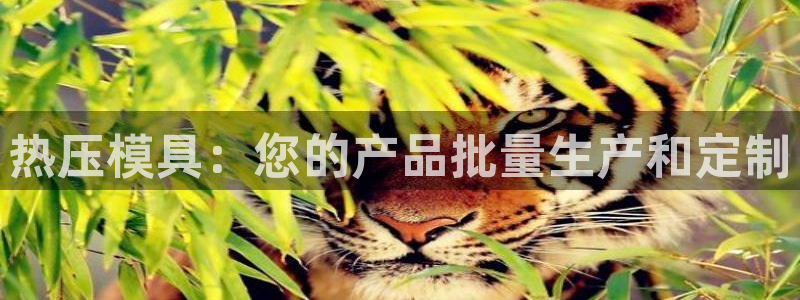 易倍纤价格：热压模具：您的产品批量生产和定制