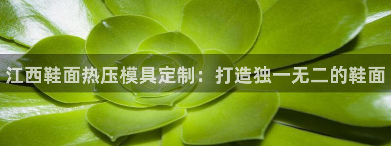 易倍申片：江西鞋面热压模具定制：打造独一无二的鞋面