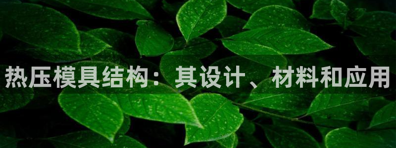 易倍达怎么样