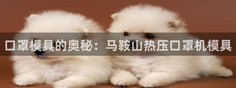 易倍纤减肥价格