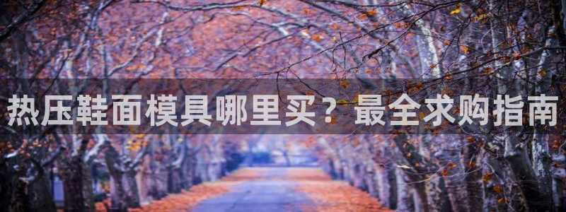 EMC易倍官网招聘：热压鞋面模具哪里买？最全求购指南