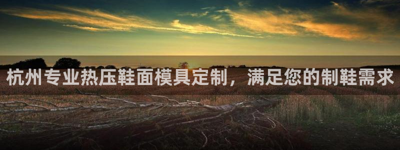 易倍申上市时间：杭州专业热压鞋面模具定制，满足您的制鞋需