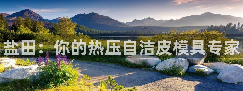 易倍达科技有限公司代运营