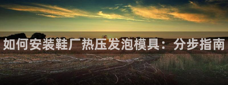 易倍app官网下载：如何安装鞋厂热压发泡模具：分步指南