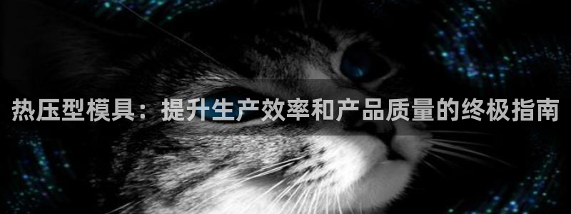 易倍纤官网：热压型模具：提升生产效率和产品质量的终极指南