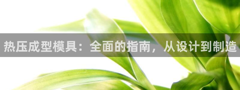易倍申片能长期服用吗：热压成型模具：全面的指南，从设计到