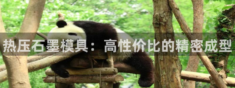 emc下载：热压石墨模具：高性价比的精密成型