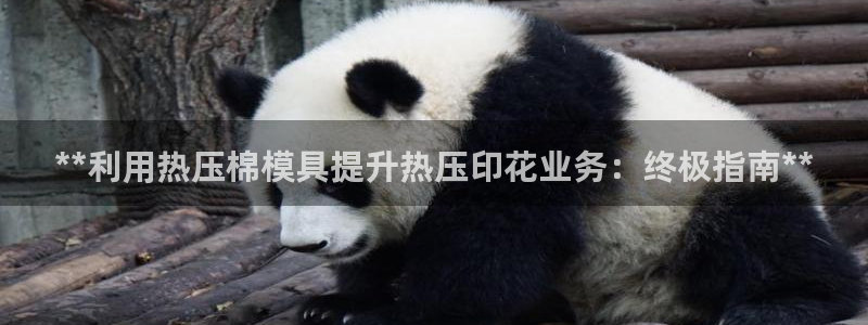 emc易倍网站是多少：**利用热压棉模具提升热压印花业务