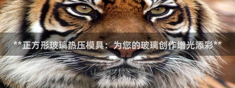 易倍纤能减肥吗