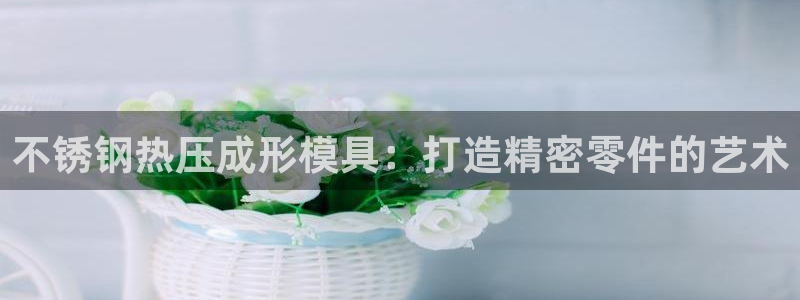 emc网页版