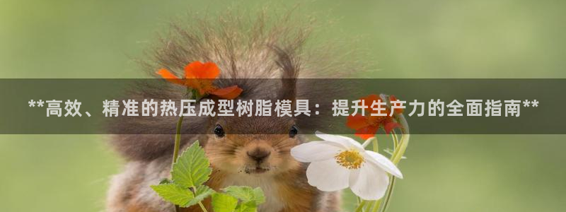 emcapp下载普通下载：**高效、精准的热压成型树脂模