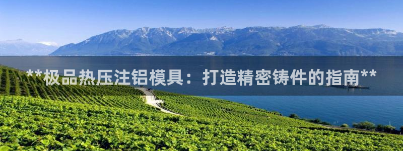易倍纤代餐奶昔减肥效果怎么样：**极品热压注铝模具：打造