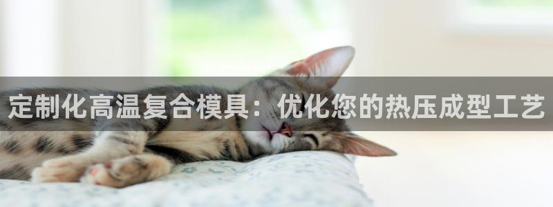 易倍纤官网：定制化高温复合模具：优化您的热压成型工艺