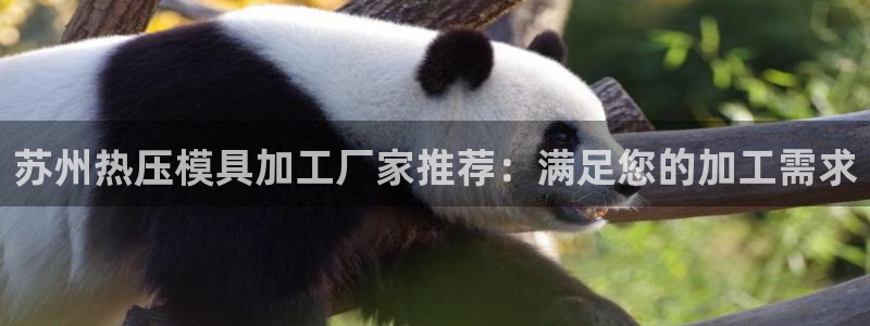 易倍纤能减肥吗
