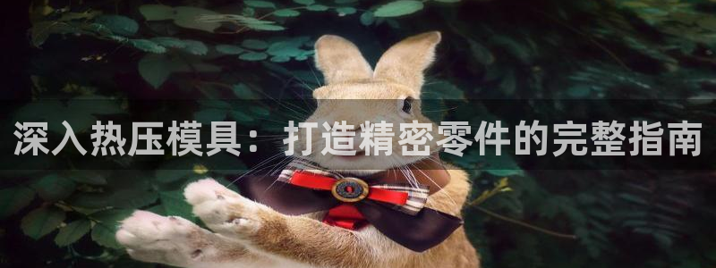 EMC易倍官方网址：深入热压模具：打造精密零件的完整指南