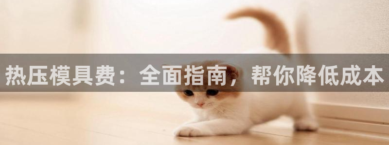 北京易倍思教育怎么样：热压模具费：全面指南，帮你降低成本