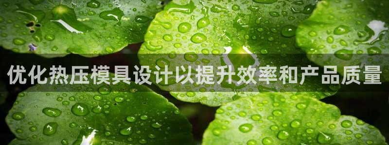 emc易倍是黑台子吗：优化热压模具设计以提升效率和产品质