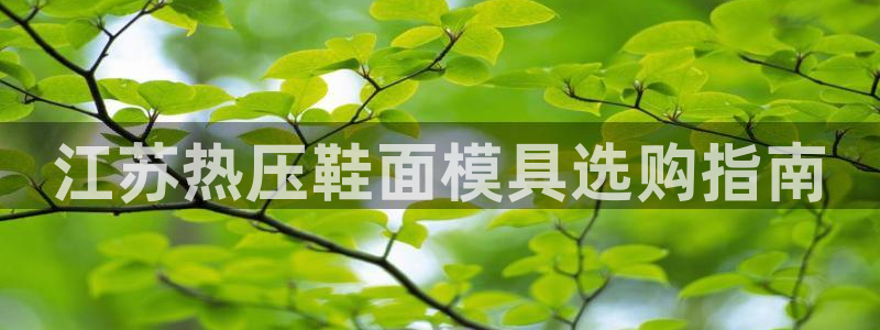 易倍app网站