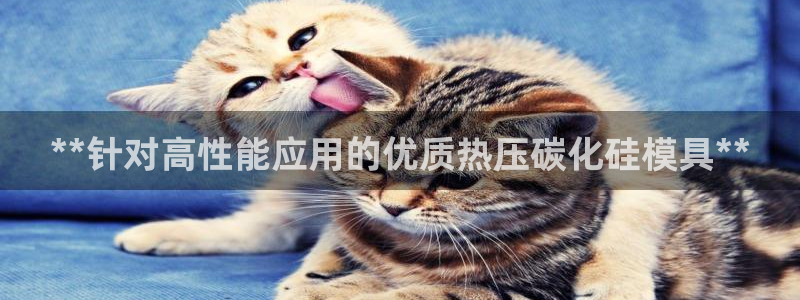 易倍纤多少钱：**针对高性能应用的优质热压碳化硅模具**