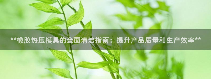 易倍达怎么样：**橡胶热压模具的全面清洁指南：提升产品质
