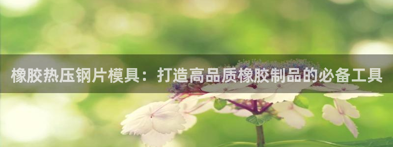 易倍网络技术有限公司：橡胶热压钢片模具：打造高品质橡胶制