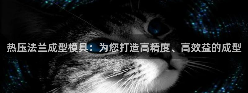 emc倍频干扰：热压法兰成型模具：为您打造高精度、高效益
