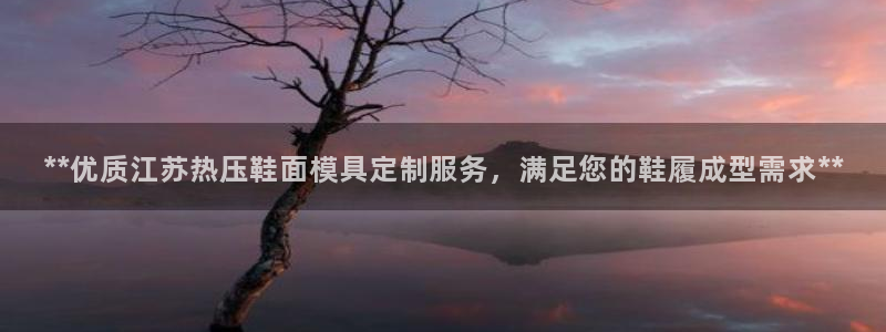 易倍易趣网：**优质江苏热压鞋面模具定制服务，满足您的鞋