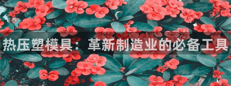 南京易倍易电子科技有限公司：热压塑模具：革新制造业的必备