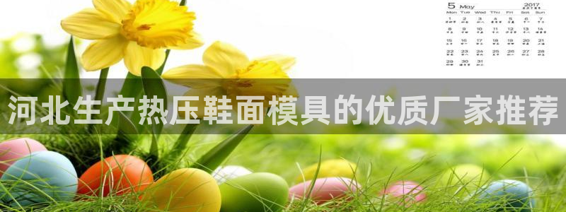 EMC易倍官网招聘：河北生产热压鞋面模具的优质厂家推荐