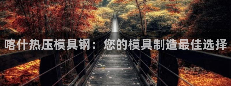 易倍纤酵素效果好吗