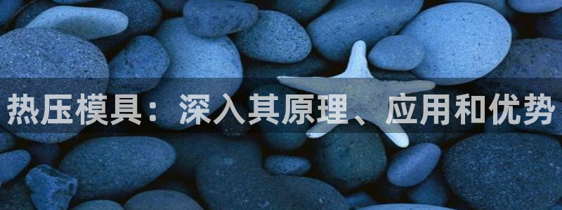emc网页版