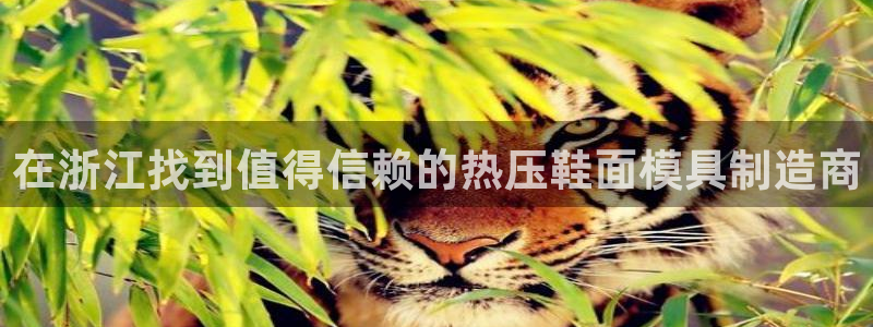 emc易倍全站官网：在浙江找到值得信赖的热压鞋面模具制造