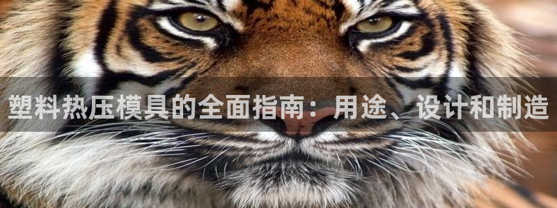 南京易倍易电子科技有限公司：塑料热压模具的全面指南：用途