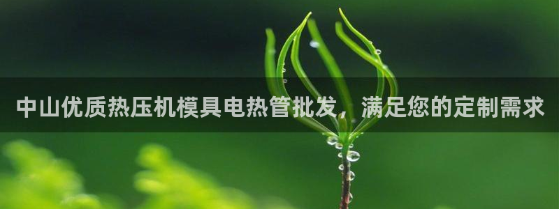 易倍单词登录网站