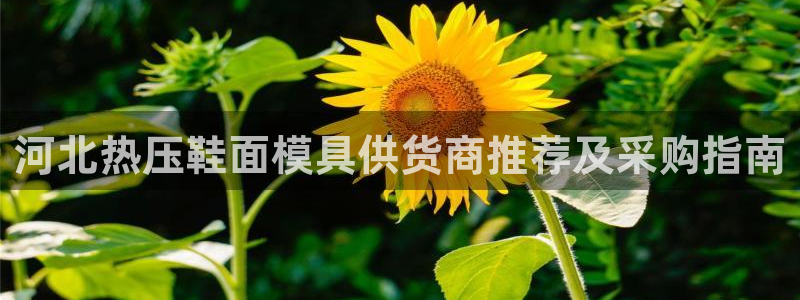 易倍达科技有限公司怎么样