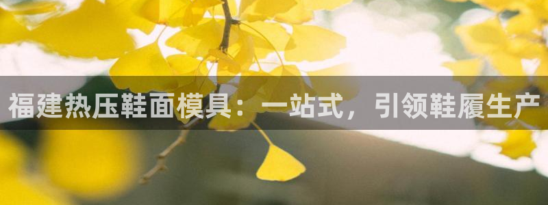 武汉易倍捷科技有限公司：福建热压鞋面模具：一站式，引领鞋