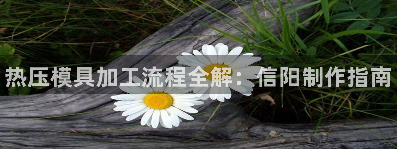 EMC易倍让身份验证：热压模具加工流程全解：信阳制作指南