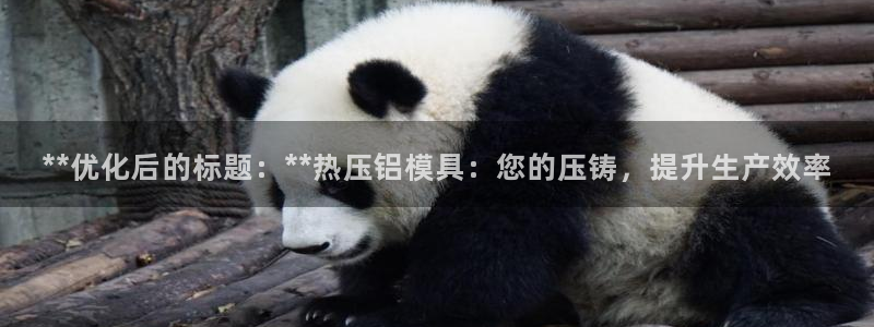 易倍单词官方网站的：**优化后的标题：**热压铝模具：您