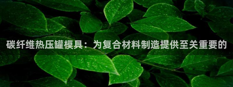 易倍申在中国成功上市