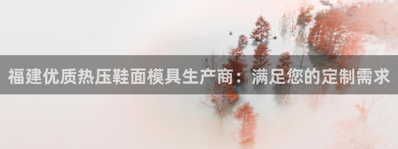 emc易倍全站：福建优质热压鞋面模具生产商：满足您的定制