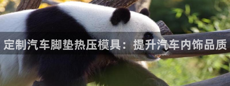 emc全站易倍：定制汽车脚垫热压模具：提升汽车内饰品质