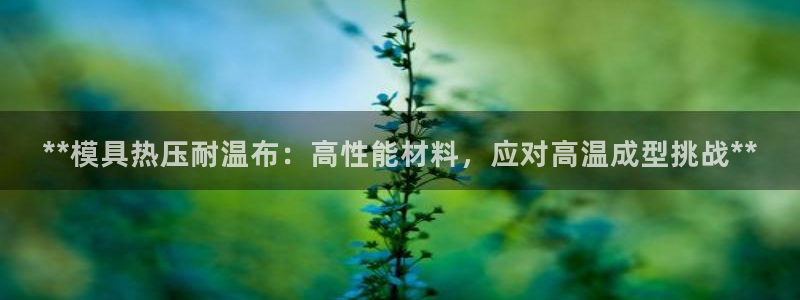 易倍申服用方法：**模具热压耐温布：高性能材料，应对高温