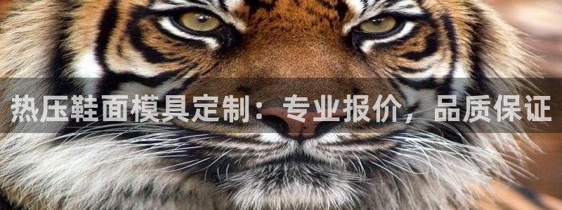易倍电竞,有球必应