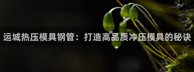 易倍申有用吗