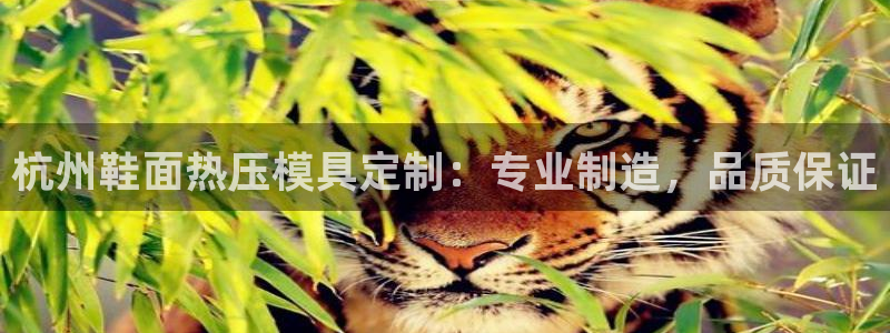 EMC倍频原理：杭州鞋面热压模具定制：专业制造，品质保证