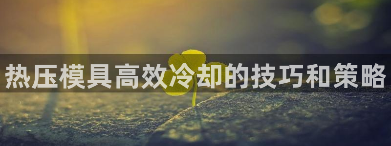 易倍科华生物科技有限公司：热压模具高效冷却的技巧和策略