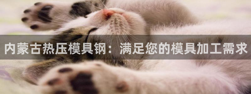 易倍企业管理软件