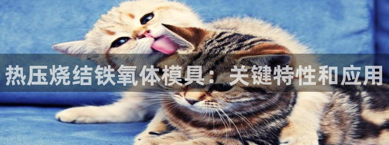易倍申片说明书：热压烧结铁氧体模具：关键特性和应用